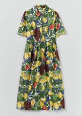 Selma Sketched Fruit Print Dress