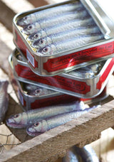 A Little Tin of Chocolate Sardines