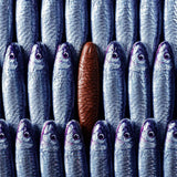 A Little Tin of Chocolate Sardines