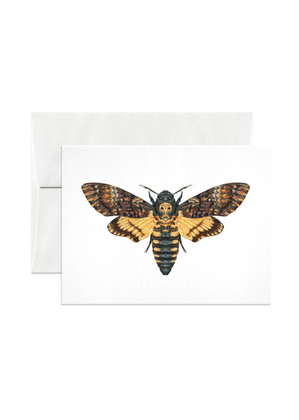 Death's Head Hawkmoth Card