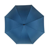 British Umbrella