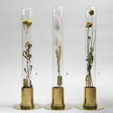Brass & Glass Herbarium