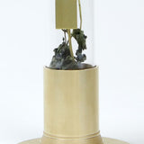 Brass & Glass Herbarium