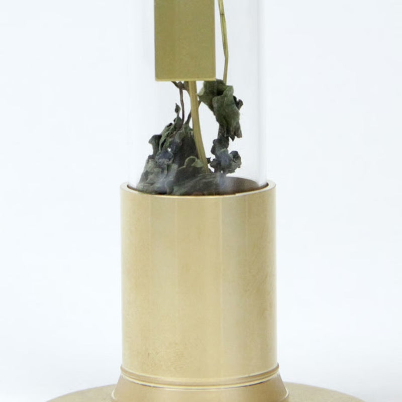 Brass & Glass Herbarium