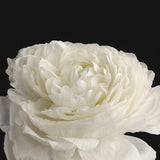 Restorative Hand Wash - Orange Blossom, Geranium & Jasmine